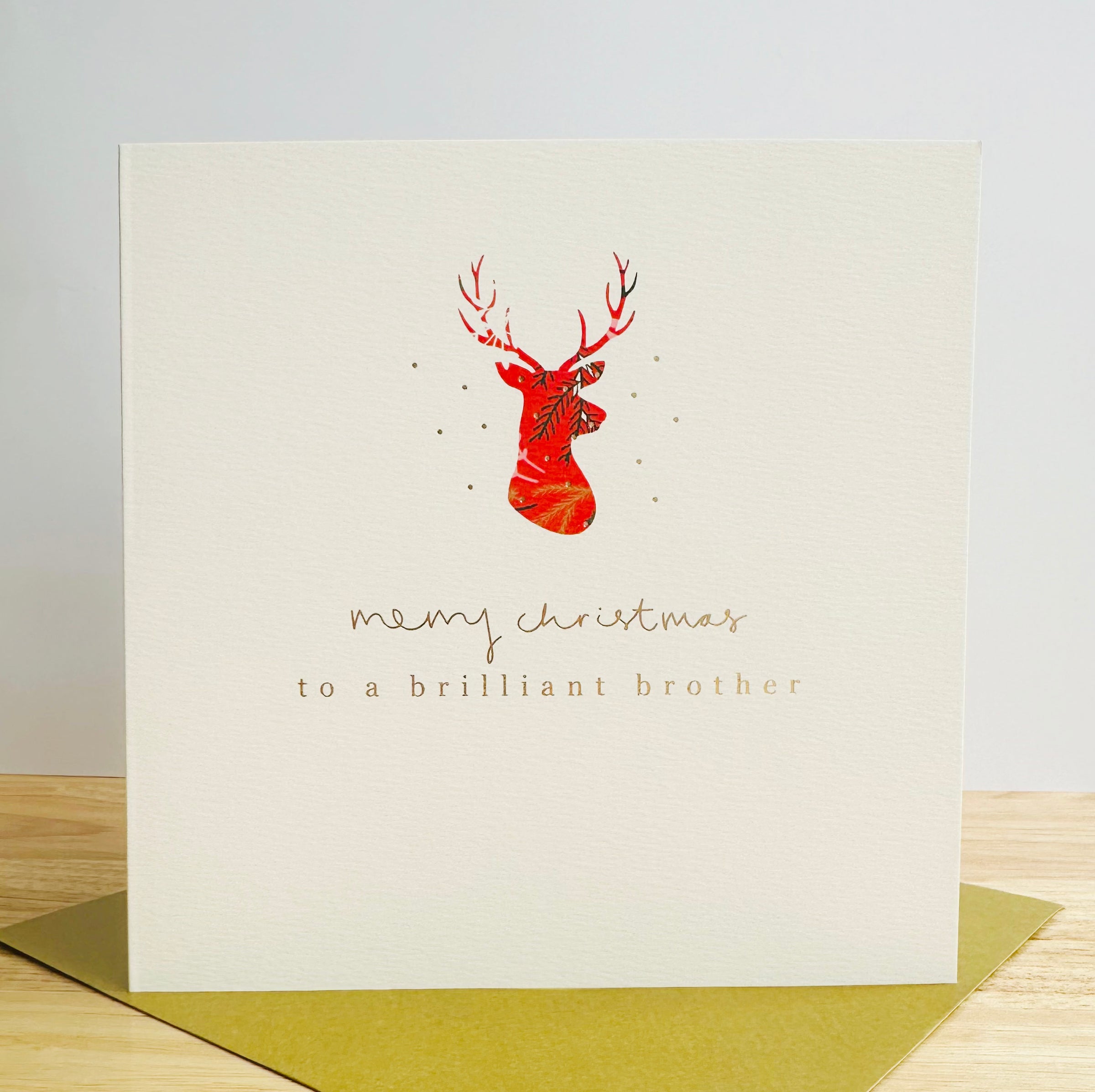 Brilliant Brother Christmas